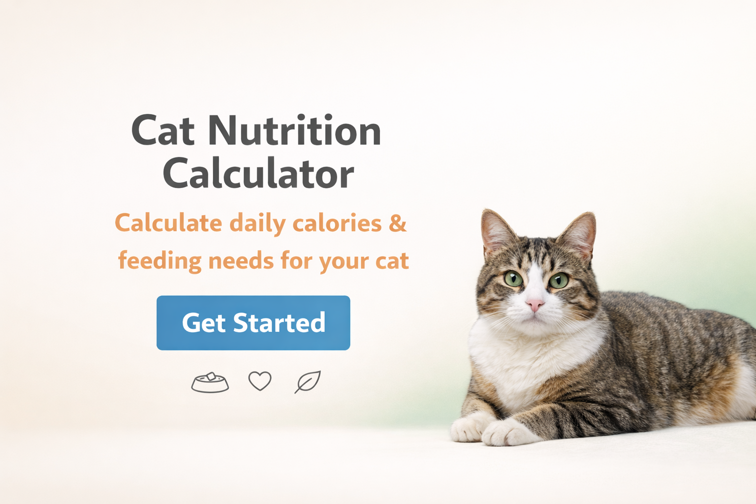 Cat Calorie Calculator | Cat Nutrition Calculator - Free Tool