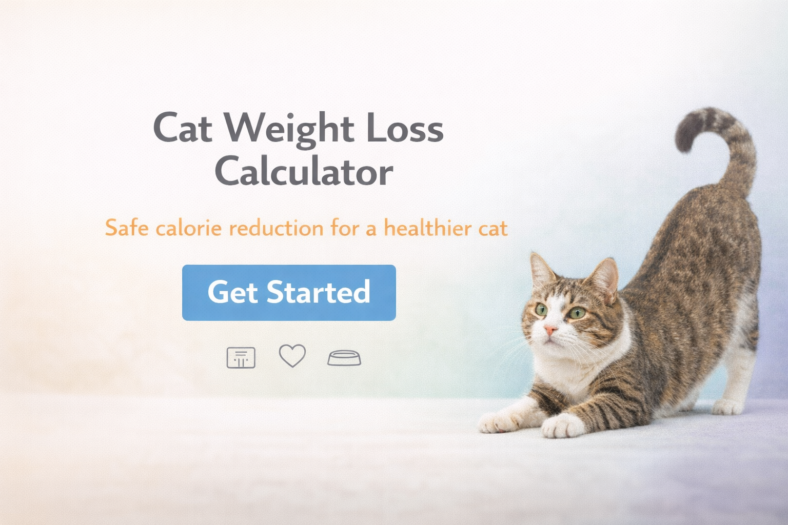 Cat Weight Loss Calculator — Free Safe Calorie Deficit & Feeding Plan