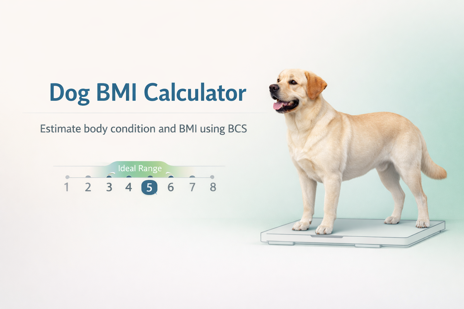 Dog BMI Calculator | Dog Body Condition Score Calculator - Free Tool