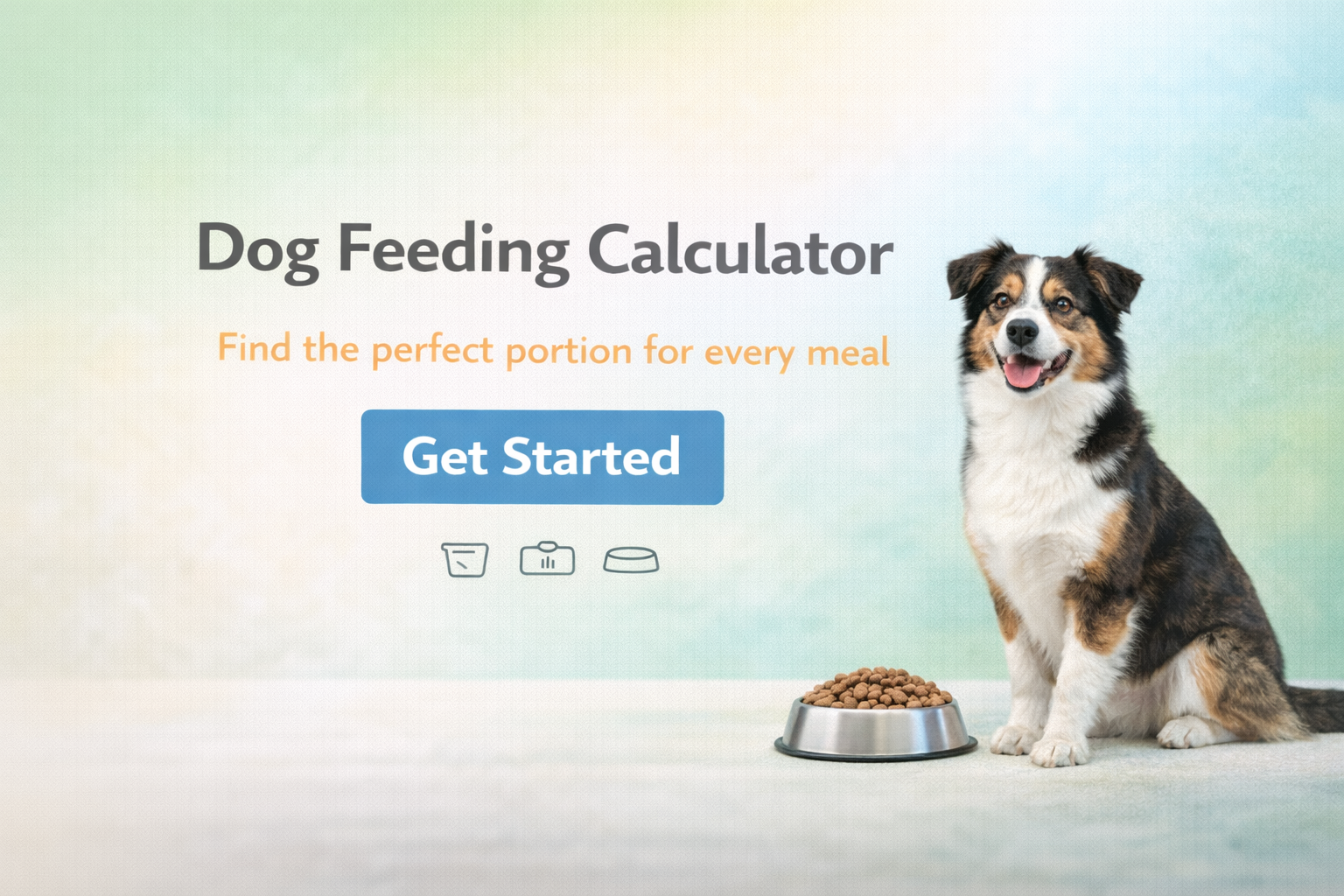 Dog Feeding Calculator | How Much to Feed Your Dog - Free Tool