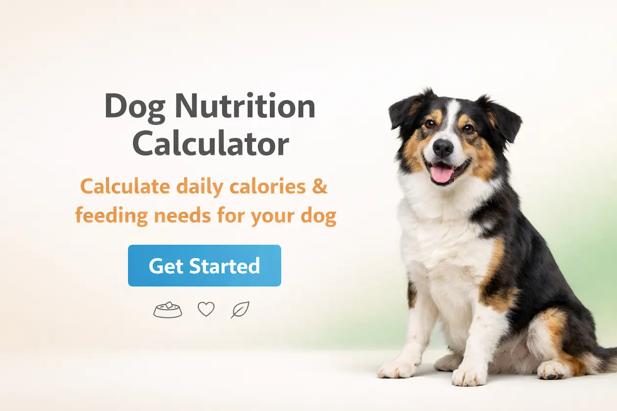 Dog nutrition calculator hero image