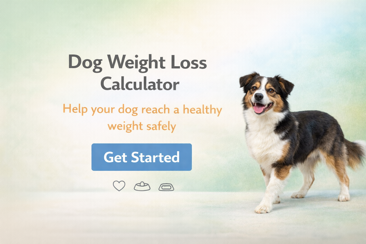 Free Dog Weight Loss Calculator | Safe Calorie Deficit & Feeding Plan