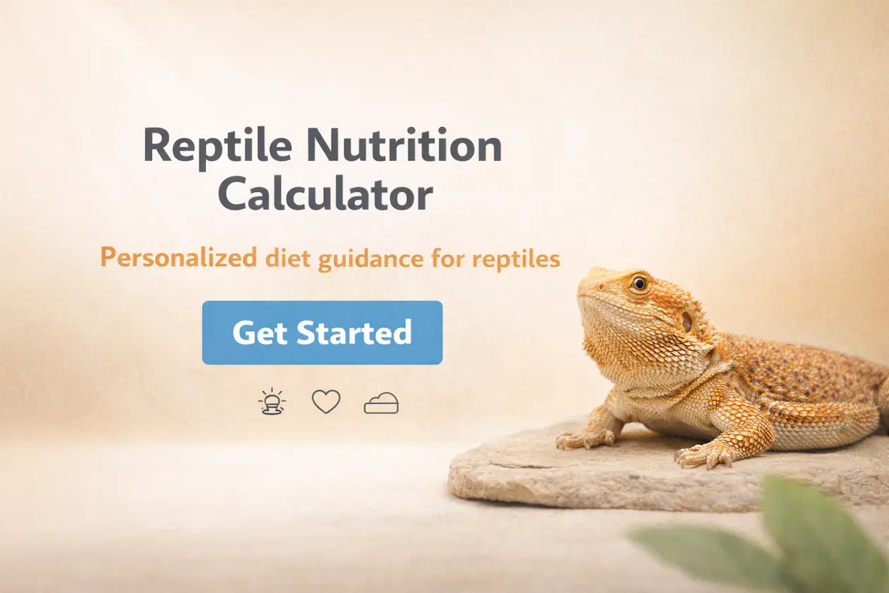 Reptile nutrition calculator hero image